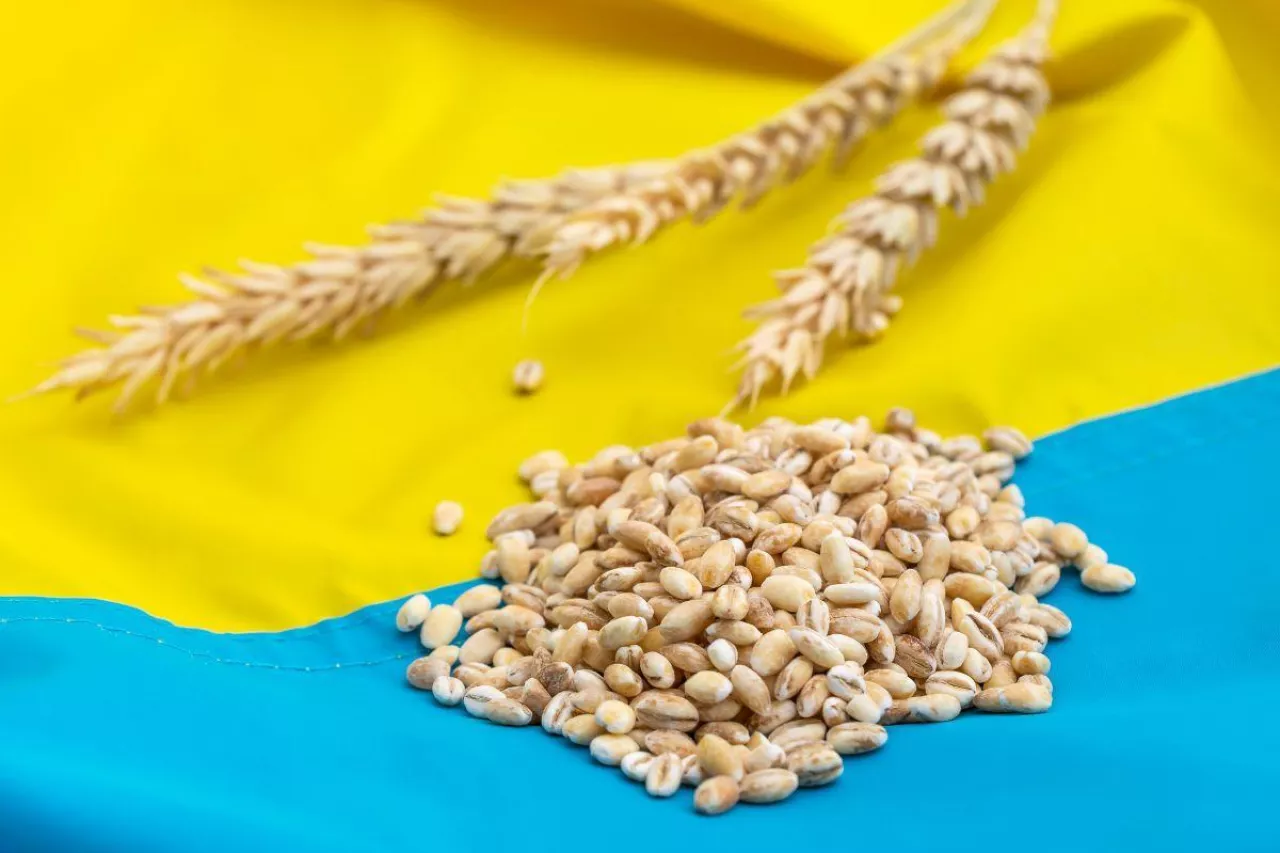 Czy Polska utrzyma czy zniesie embargo na produkty rolne z Ukrainy?
