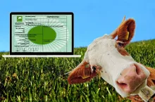 Rolnicy skarżą się na IRZ plus i chcą przywrócenia paszportów dla bydła