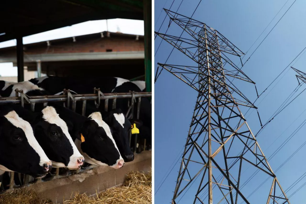 O ile wzrosną rachunki za prąd od lipca? Czy rolnika obejmie bon energetyczny?