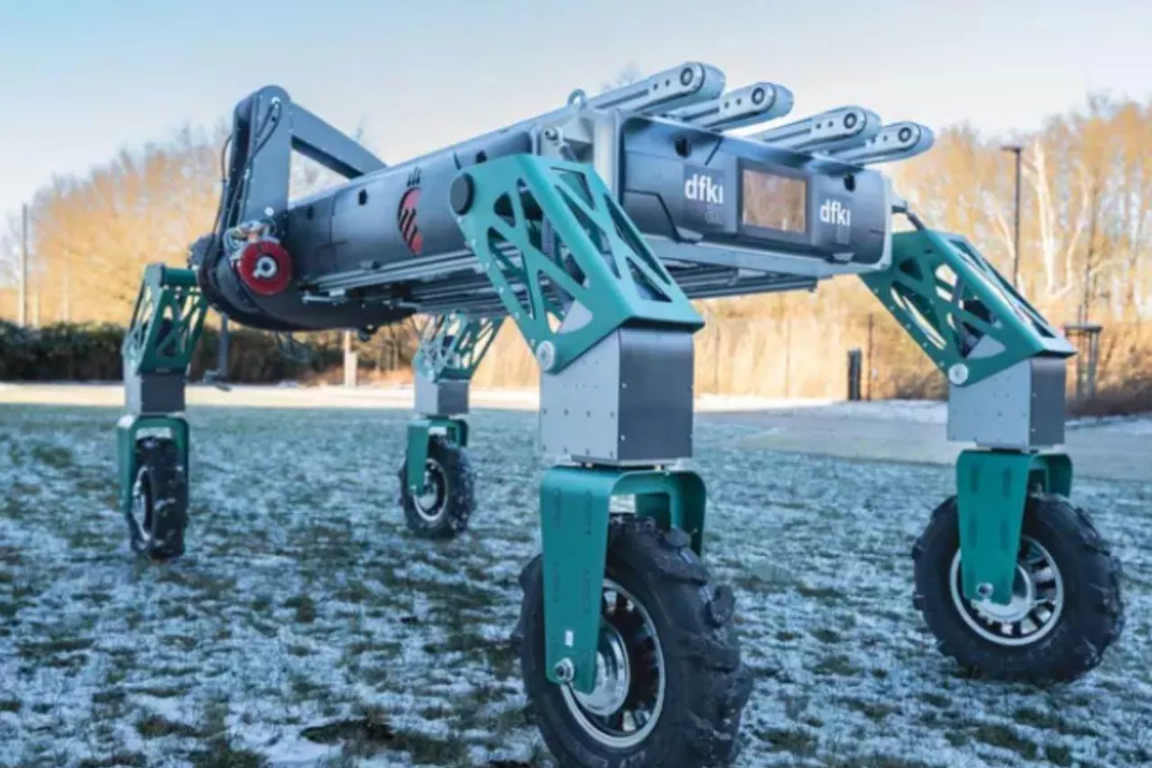 RoLand: robot do zbioru truskawek. Jak sztuczna inteligencja zbiera owoce?