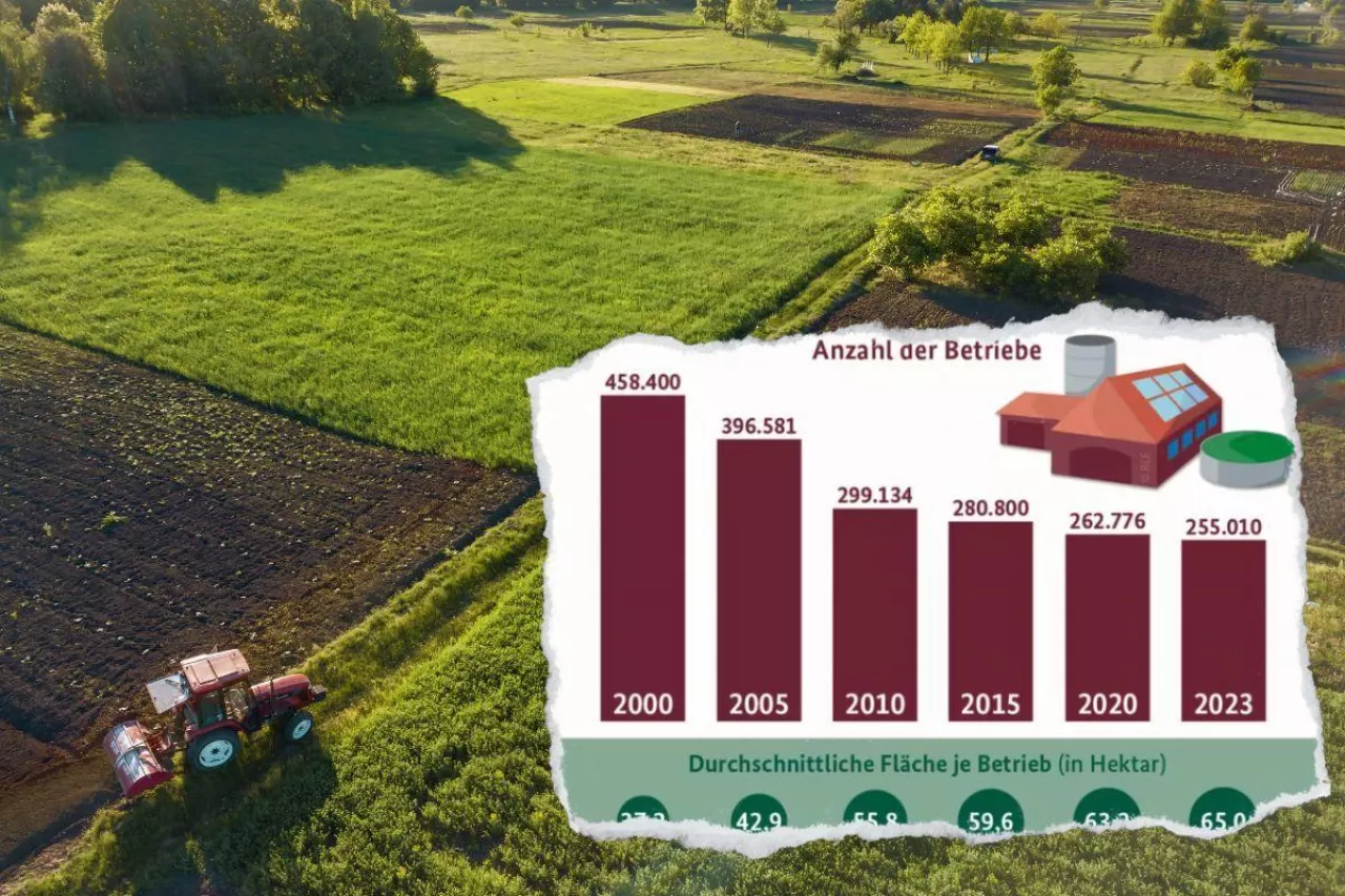 Liczba gospodarstw w Niemczech spadła aż o 200 tys.!