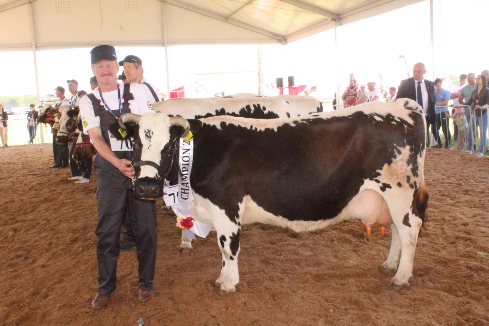 Aż 90 sztuk bydła na wystawie na Zielonym Agro Show w Ułężu. Kto wygrał?