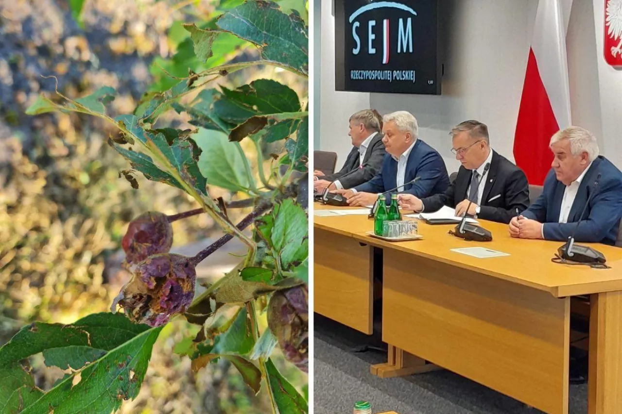 Sejmowa komisja rolnictwa wysłuchała informacji na temat strat spowodowanych przez przymrozki.