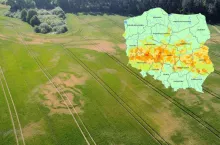 IUNG stwierdza suszę rolniczą prawie w całej Polsce! Najgorzej w zbożach