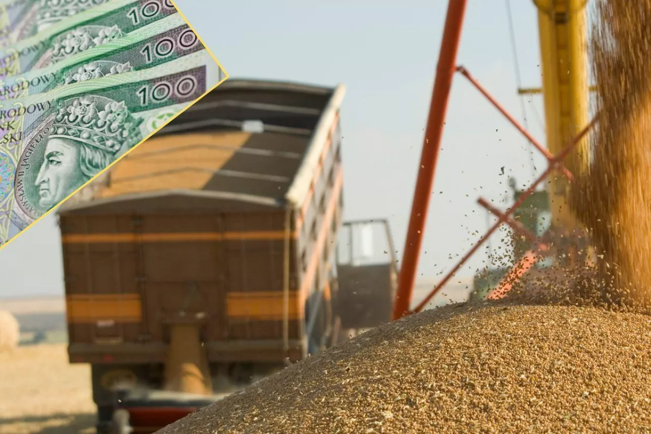 Dopłaty do zbóż: ogromne zainteresowanie rolników. Został tylko tydzień