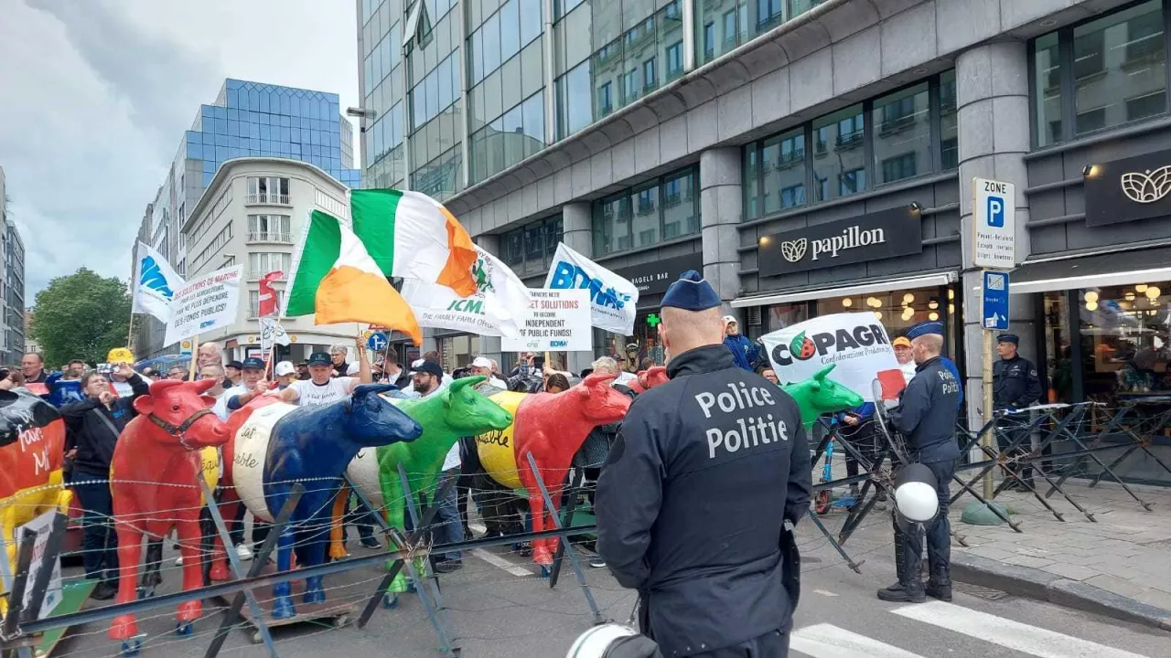 Protest producentów mleka w Brukseli (27.05.2024)