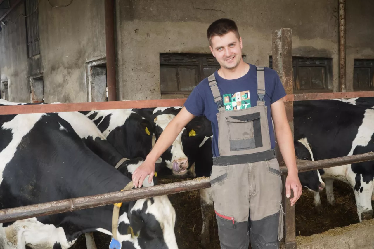 Obecnie Łukasz Strachanowski utrzymuje pogłowie bydła liczące ok. 110 sztuk, z czego 70 to krowy dojne. Stado objęte jest oceną użytkowości mlecznej