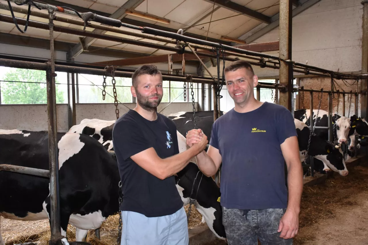 Gdy bracia przejęli gospodarstwo po rodzicach niecałe 10 lat temu, to średnia wydajność laktacyjna od krowy wynosiła 6 tys. kg mleka, a dziś jest to już 10,5 tys. kg. Świadczy to, że wykonali dobrą pracę hodowlaną, jak i żywieniową.
