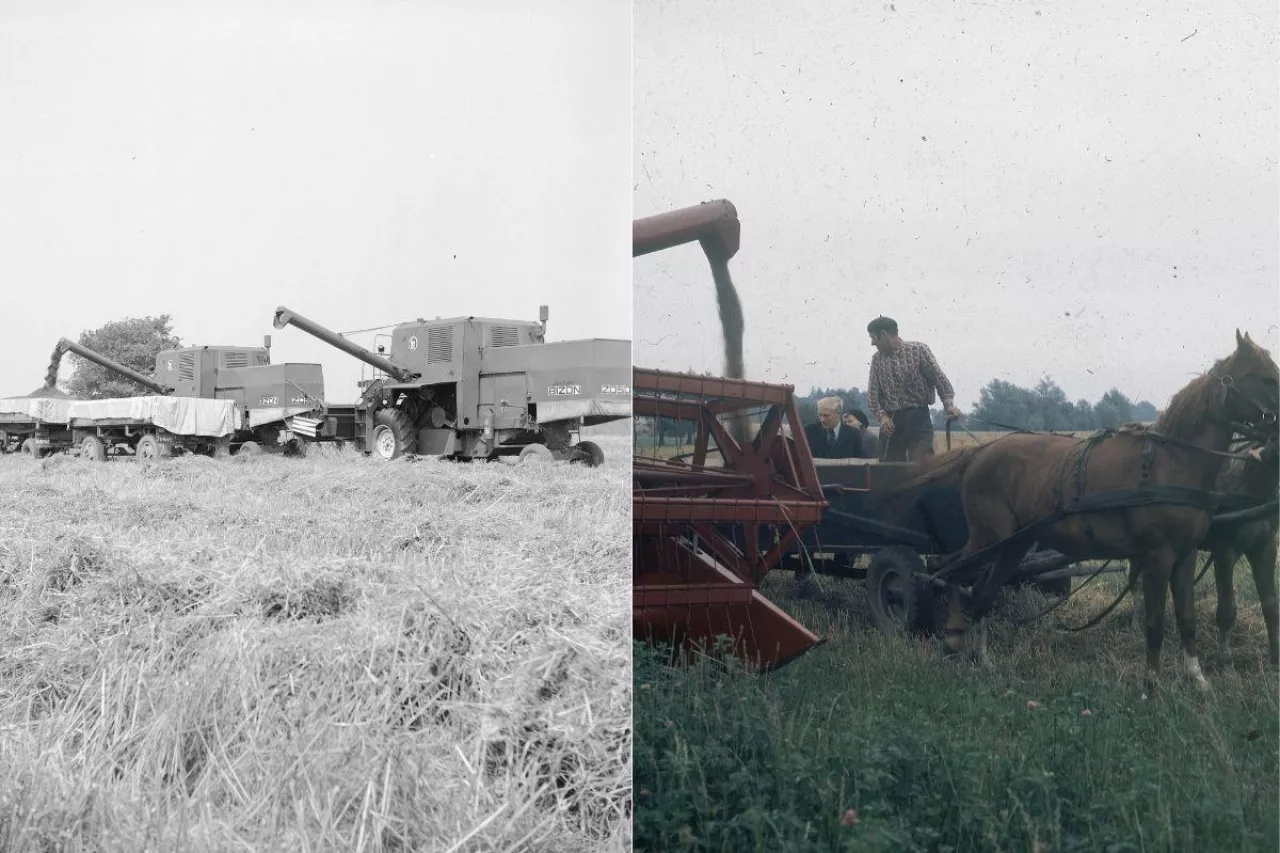 20 lat temu zjechał z taśmy ostatni Bizon. Historia króla żniw [FOTO]