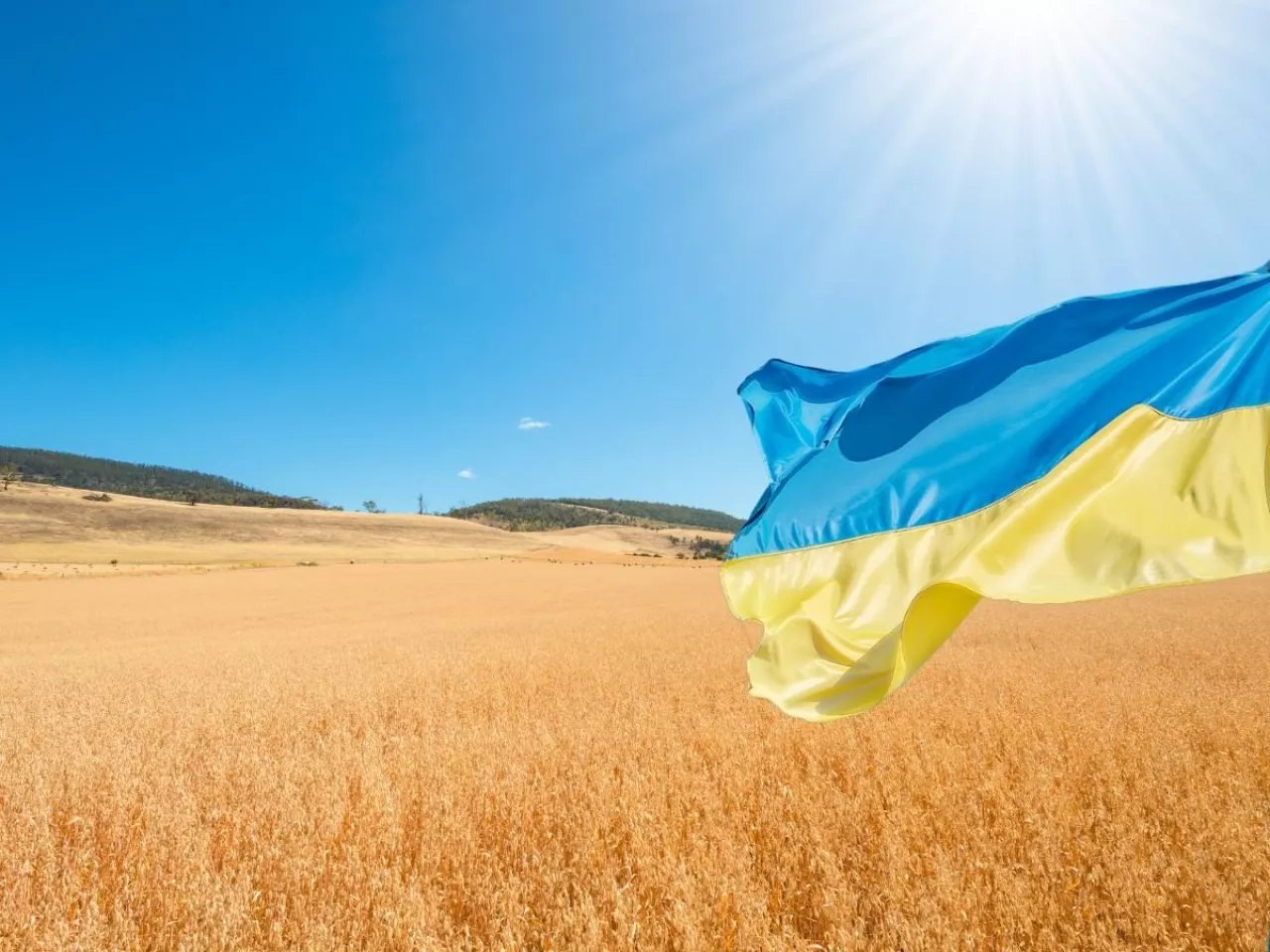 UE wprowadza cło na zboże z Ukrainy