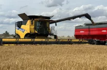 Jakie są aktualne ceny zbóż i rzepaku w Polsce?