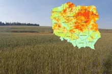 Pogłębia się susza w Polsce