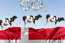 SZOK! Pierwszy kraj w UE nakłada podatek na rolników za emisję CO2