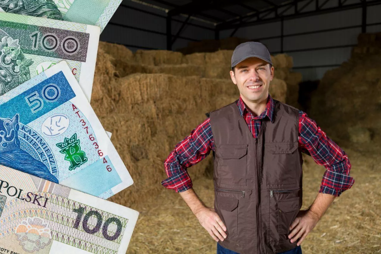 Premia dla młodego rolnika: czy trzeba być ubezpieczonym w KRUS?