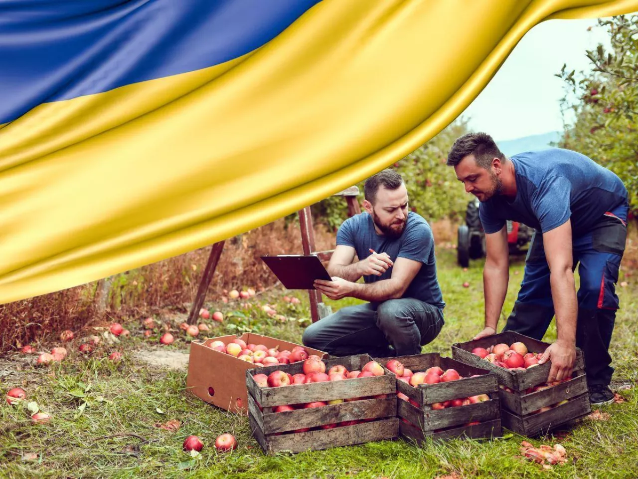 Pracownicy rolni z Ukrainy: do kiedy ich pobyt w gospodarstwie jest legalny?