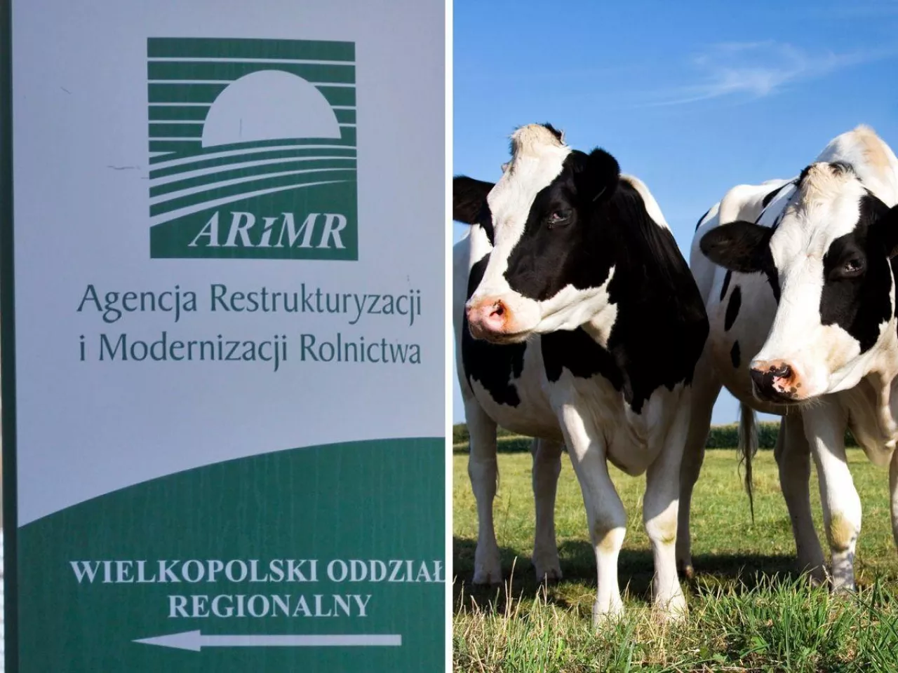 Dobrostan zwierząt: jakie dokumenty rolnicy muszą złożyć w ARiMR do końca lipca?