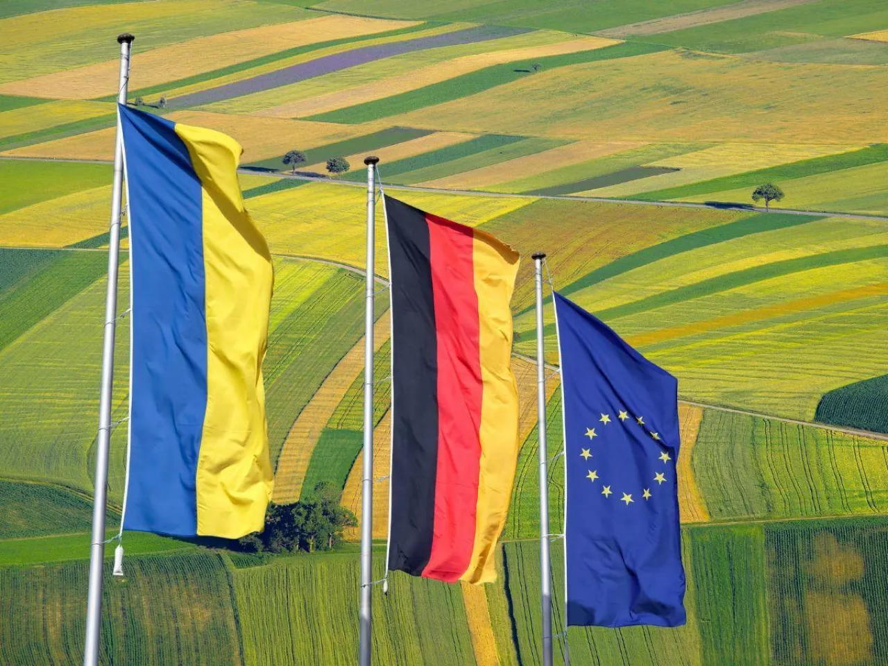 Rolnicy w Niemczech boją się wejścia Ukrainy do UE. ”Gospodarstwa rodzinne będą zagrożone”
