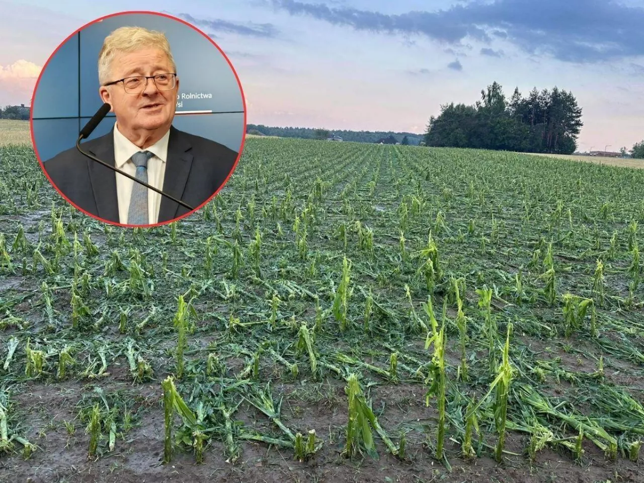 ”Zmiany w Zielonym Ładzie zostały wprowadzone dzięki naciskowi ze strony rolników w formie ich protestów.”