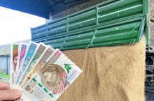 Dopłaty do zbóż: ilu rolników dostało już pieniądze z ARiMR?