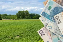Dopłaty bezpośrednie: rolnicy wciąż mogą składać wnioski. Ale ARiMR ich ukarze