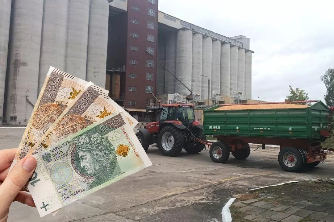 Dopłaty do zbóż: aż 2/3 rolników wciąż czeka na pieniądze z ARiMR