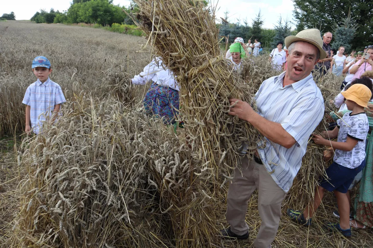 Pokos był ustawiany w dziesiątki. Na pierwszym planie Robert Dul