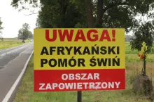 Pierwsza połowa roku napawała optymizmem, bo ognisk ASF w całej Europie było mniej niż rok wcześniej. Niestety, od czerwca ruszyła fala zachorowań, która przesuwa się na zachód