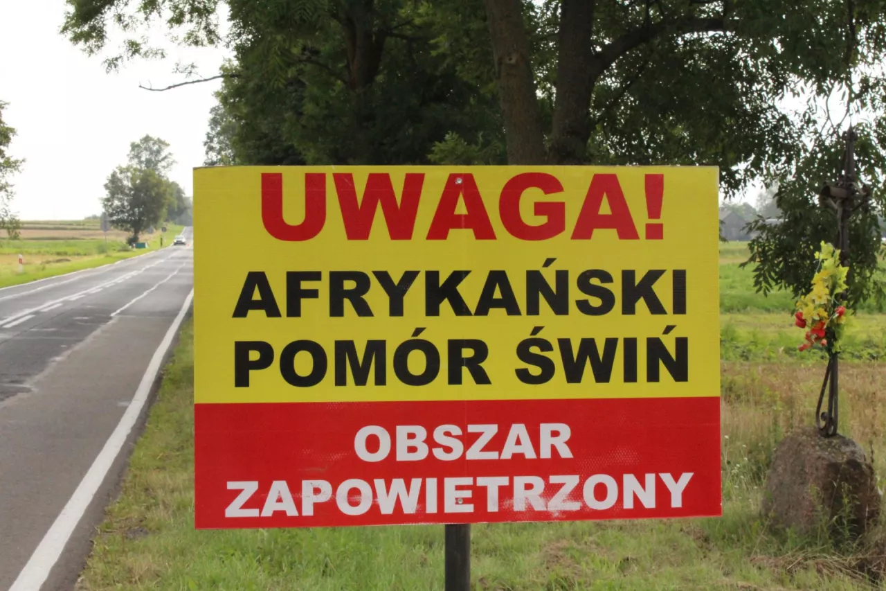 Pierwsza połowa roku napawała optymizmem, bo ognisk ASF w całej Europie było mniej niż rok wcześniej. Niestety, od czerwca ruszyła fala zachorowań, która przesuwa się na zachód