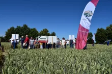 Dni Pola Top Farmera, odbyły się 21 czerwca w gospodarstwie Agro-Funduszu Mazury Sp. z o.o. w Drogoszach