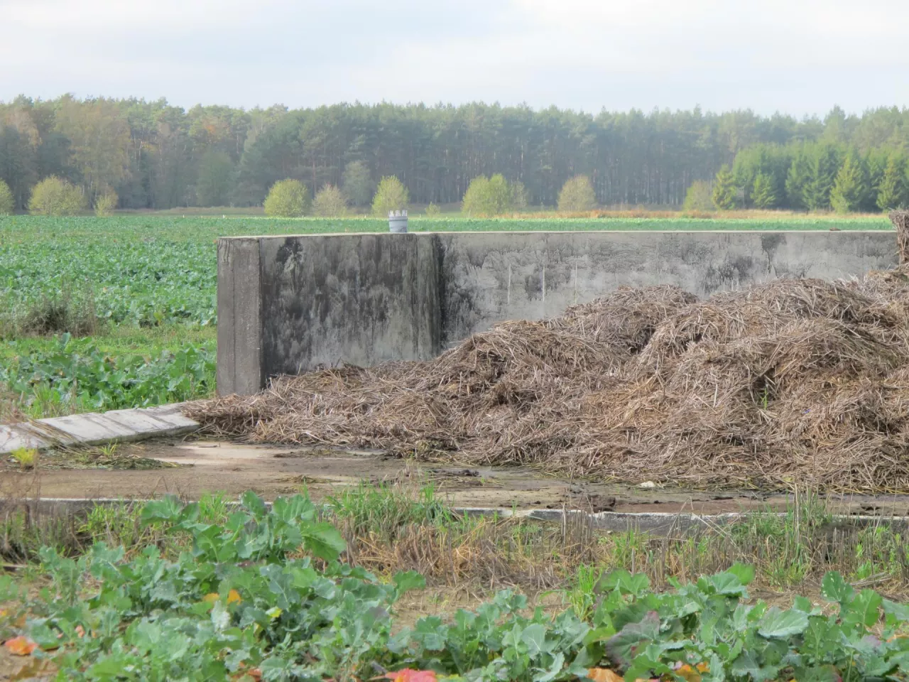 Wielka ulga dla rolników. Więcej czasu na postawienie płyt obornikowych