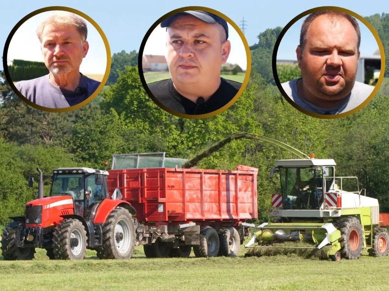 Jaki będzie trzeci pokos trawy? Ile za sianokiszonkę [WIDEO]