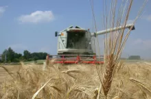 Są już metodyki do integrowanej produkcji roślin dla żyta oraz jęczmienia ozimego i jarego.