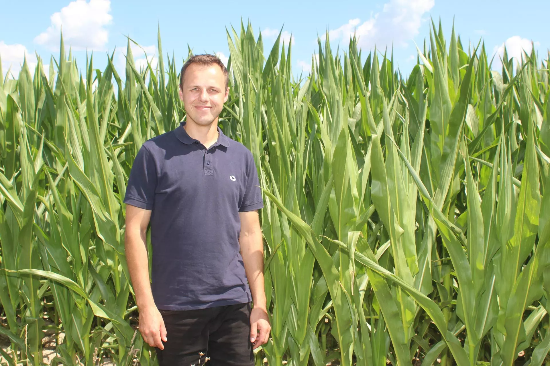 Jak rolnik z Mazowsza ogranicza koszty produkcji zbóż?