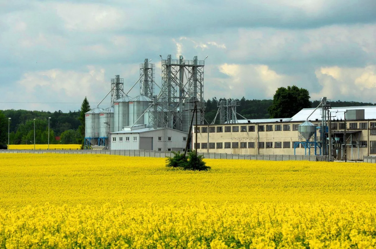 Małopolska Hodowla Roślin ma ponad 1 mln zł dotacji z KPO. Będzie prowadzić skup zbóż