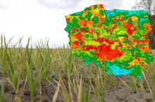 Susza rolnicza daje się we znaki rolnikom
