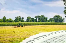 Ponad 240 ha czeka na rolników. Harmonogram przetargów KOWR w Opolu na sierpień i wrzesień