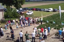 300 ha pomidorów - czy to się opłaca? Jakie są problemy? [WIDEO]