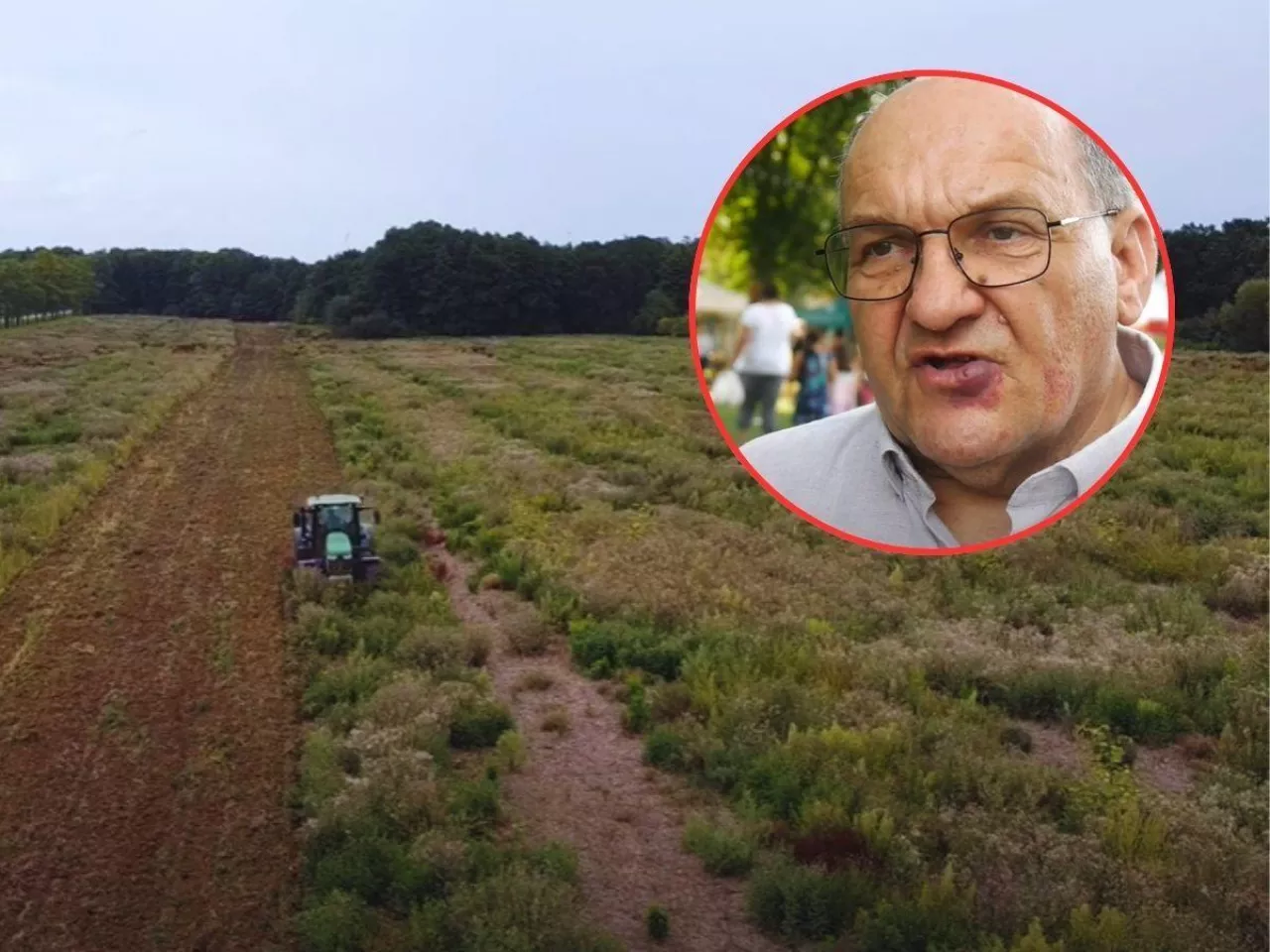 Ziemia z KOWR zarasta chwastami zamiast trafić do rolników [WIDEO]