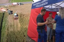 Kiedy zbierać kukurydzę, żeby uzyskać energetyczną kiszonkę? [WIDEO]