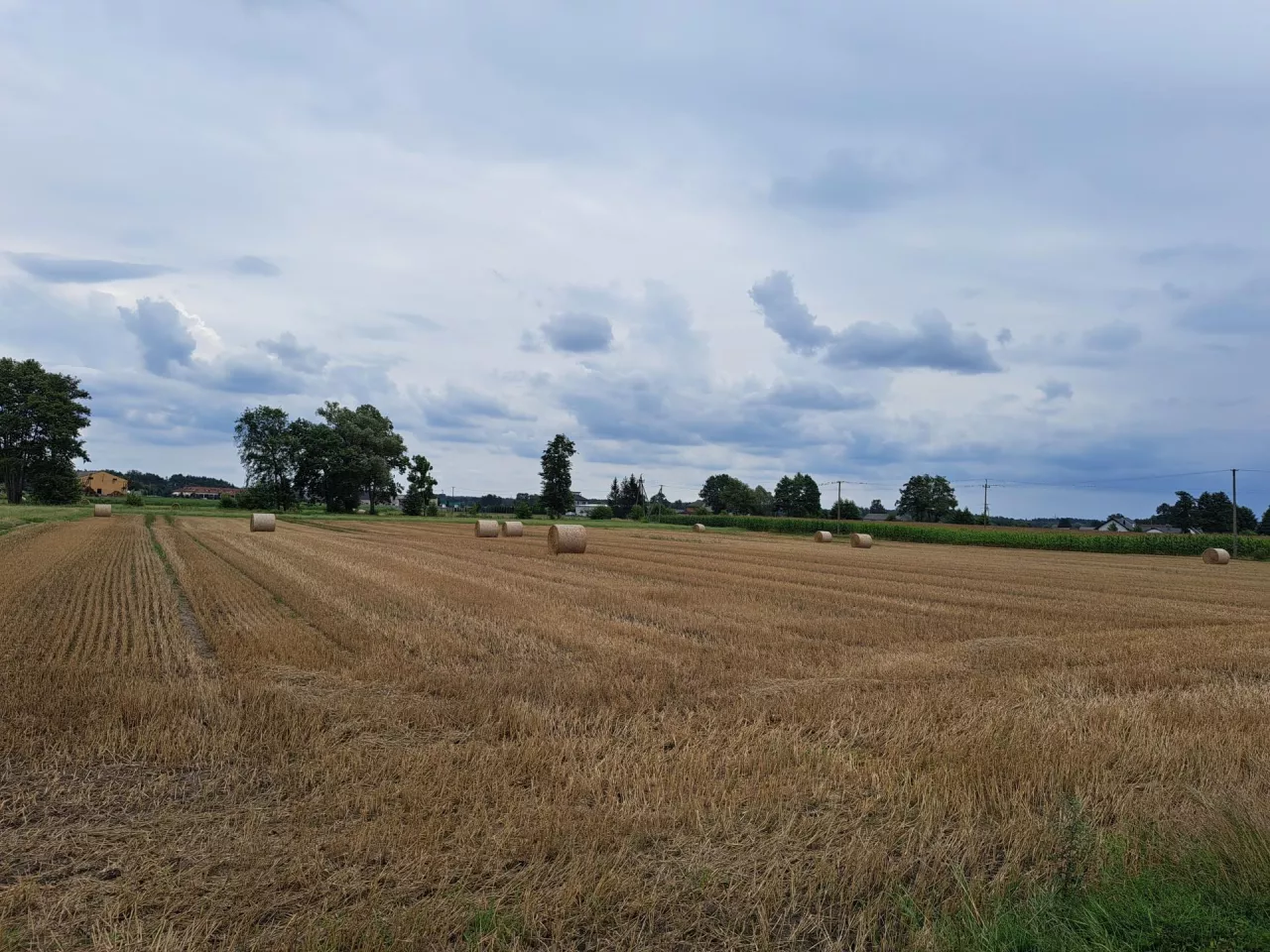 KOWR może odstąpić od pierwokupu ziemi.