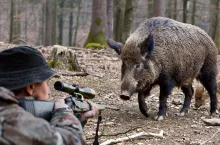 Myśliwi nie poinformują rolnika o polowaniu. Ale chcą udziału dzieci w łowach