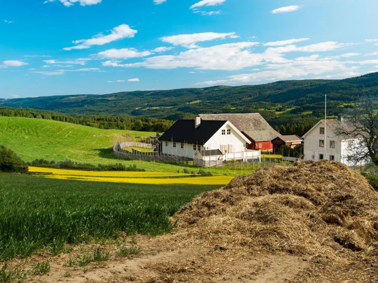 RPO chce rozszerzenia ustawy odorowej. To uderzy w rolników jeszcze bardziej