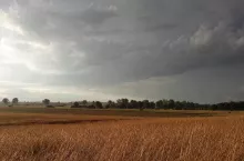 Czeka nas zmiana pogody i deszcz.