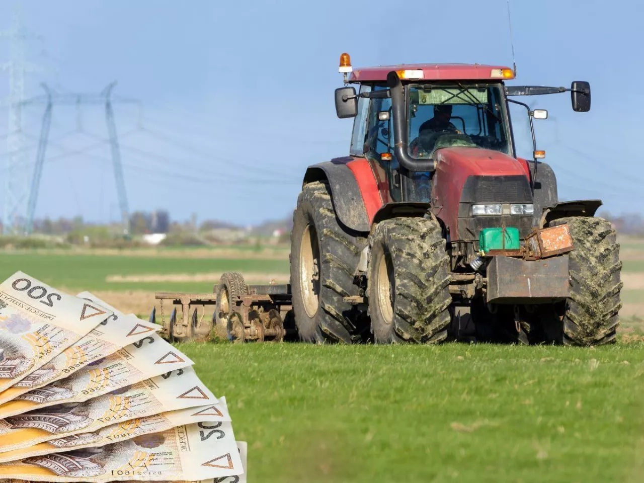 KOWR w Koszalinie wydzierżawi ziemię. Działki od 4 do 40 ha. Harmonogram na wrzesień i październik