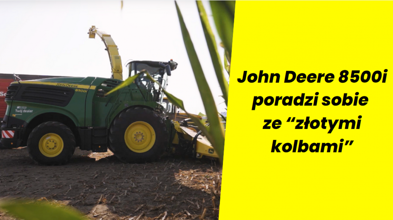 Sieczkarnia John Deere 8500i poradzi sobie nawet ze ”złotymi kolbami” [WIDEO]