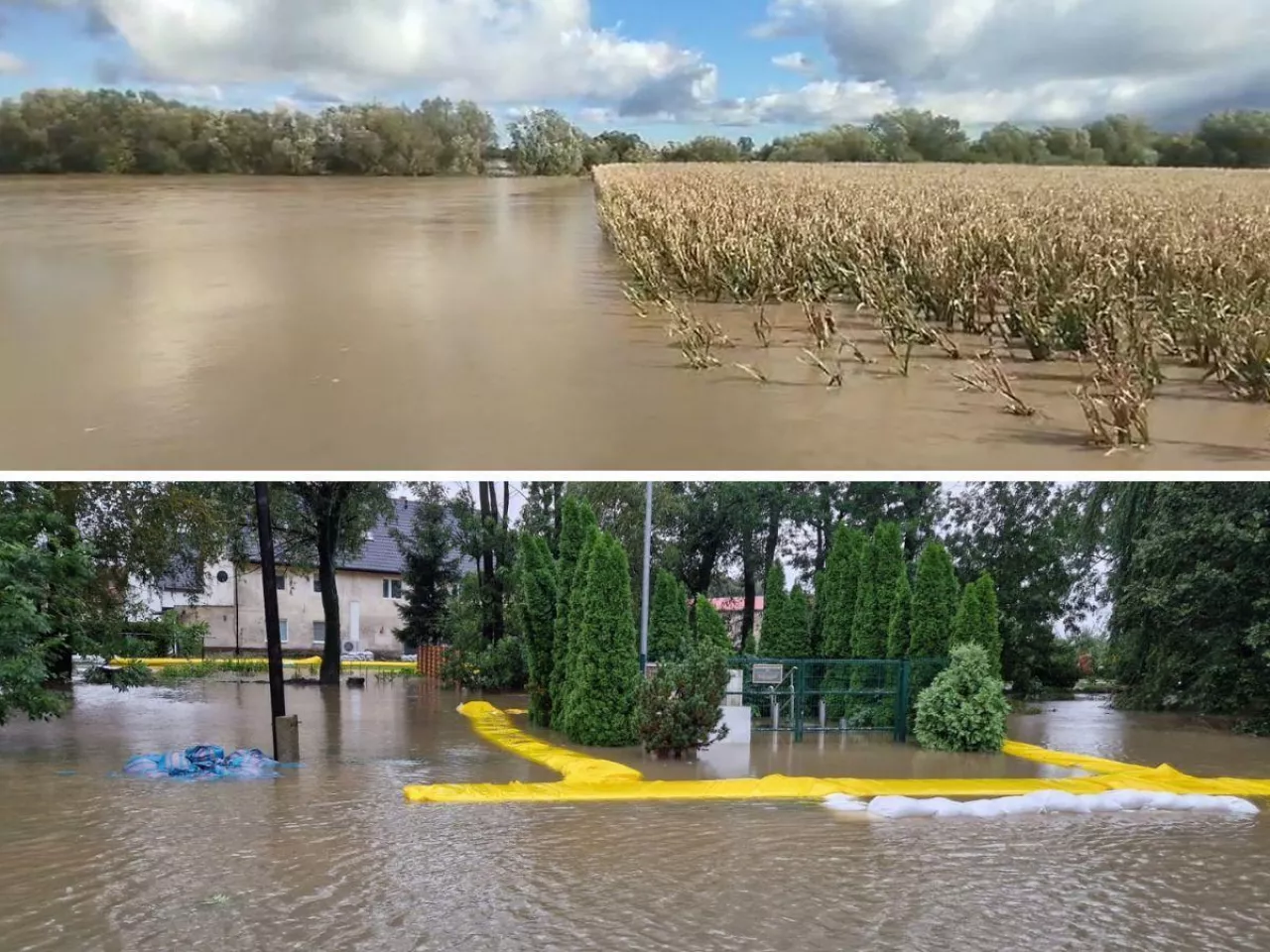 Tragiczna sytuacja rolników spod Nysy. ”Zostaliśmy odcięci od świata”