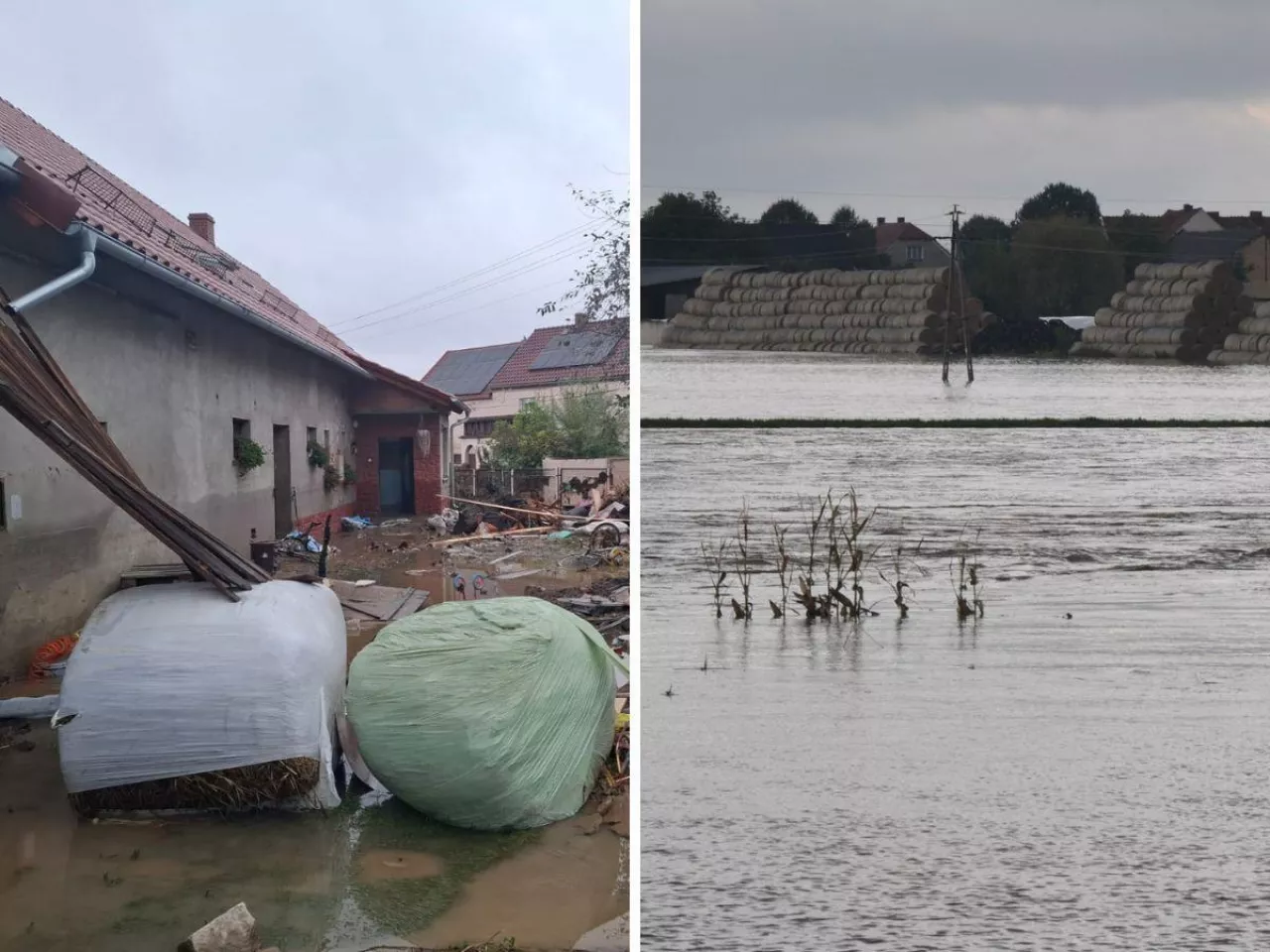 Dramat rolników na południu Polski trwa