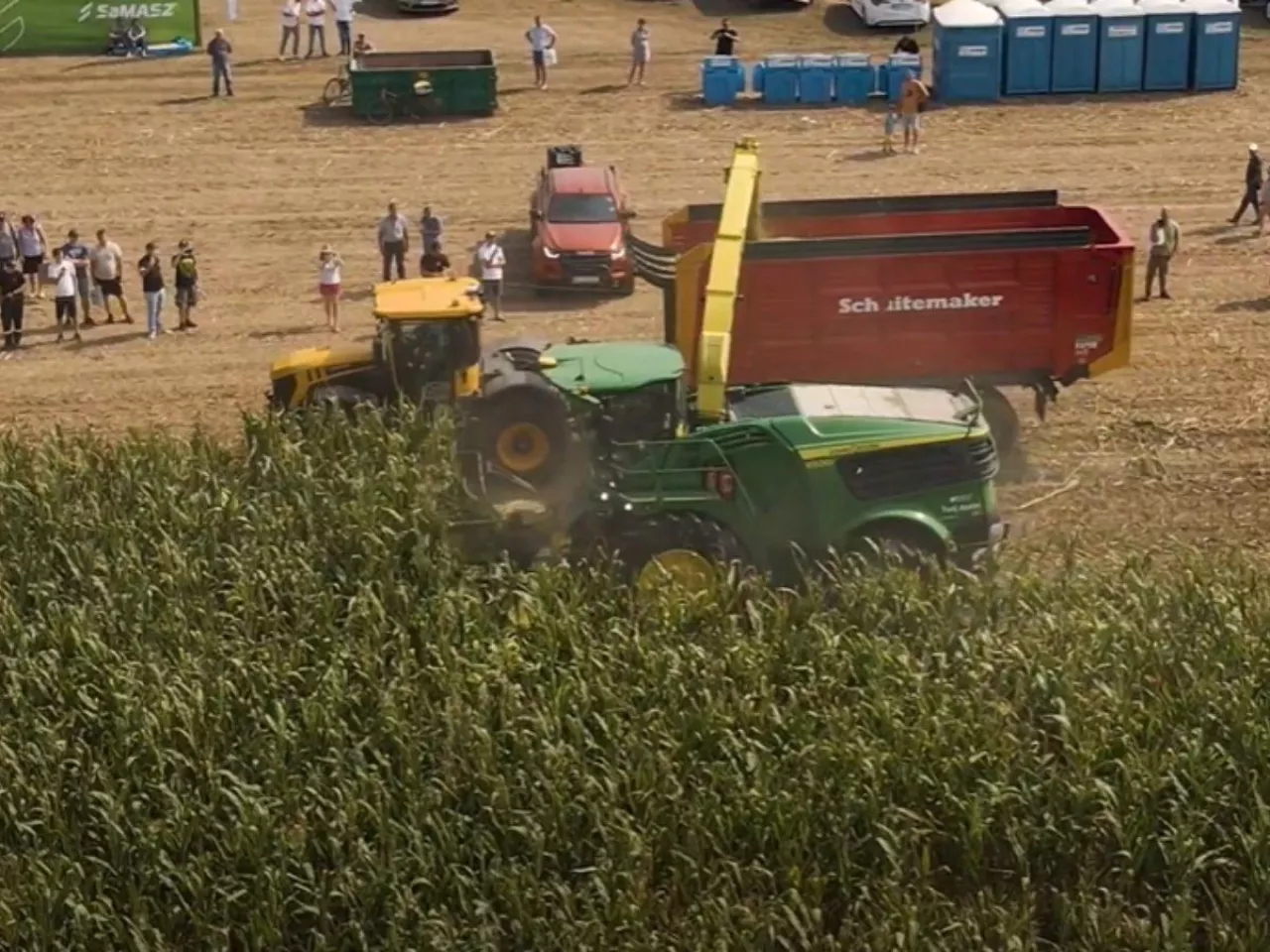 Ciągnik JCB Fastrac 4000 o mocy 240 KM przy zbiorze kukurydzy. Jak sobie radzi? [WIDEO]