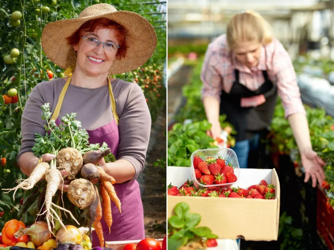 Katastrofalna sytuacja z grupami producentów rolnych. Polska traci wiele dotacji unijnych