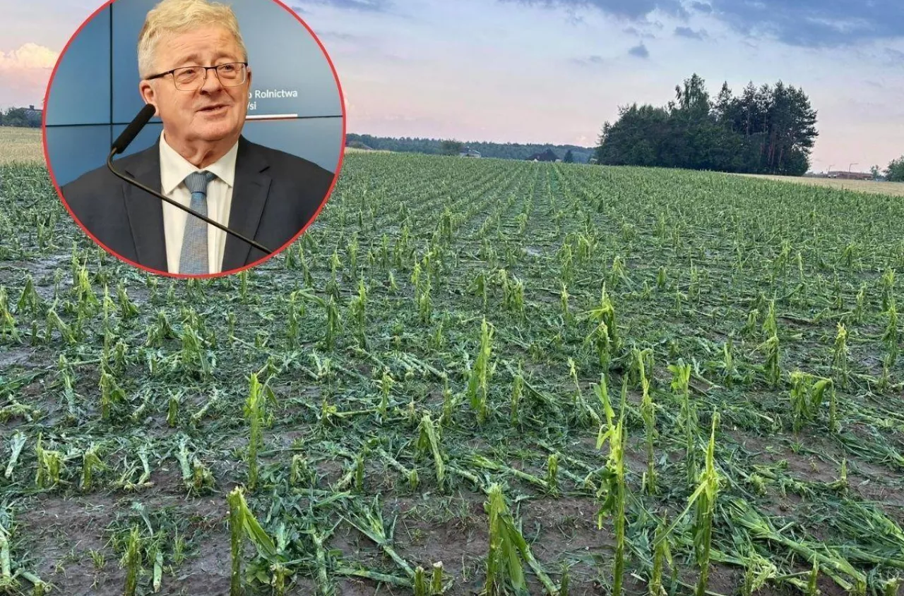 3 tys. zł dopłaty do hektara dla rolników. Rząd wreszcie zatwierdził pomoc